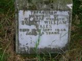 image of grave number 427964